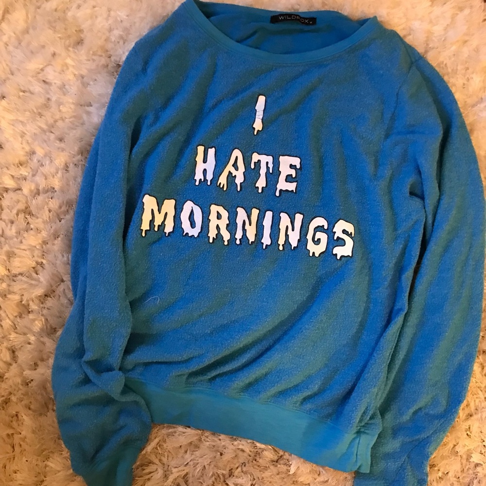 Wildfox sweatshirt